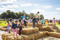 Large-8H0A4926-scaled