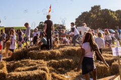 Large-8H0A5038-scaled